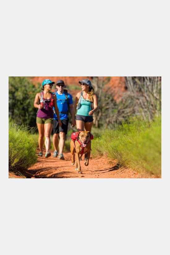 Ruffwear Singletrak Pack Rugzak Hond mid red