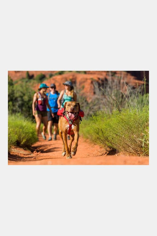 Ruffwear Singletrak Pack Rugzak Hond mid red